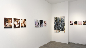 Gallery view 6