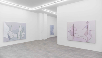 Installation view 1